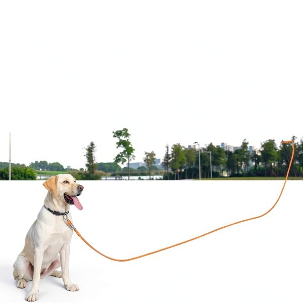 ZALER Dog Leash Screw Lock Carabiner Training Rope-3