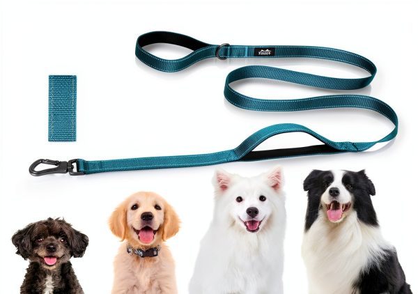TwoEar Dog Leash Reflective Padded Handles Medium Dogs-6