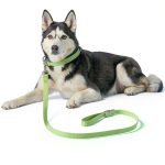 Bisen LED Dog Leash USB Rechargeable Nylon Night Walking-0