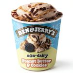 Ben Jerrys NonDairy Vegan Ice Cream Vanilla Cookie Swirl-0