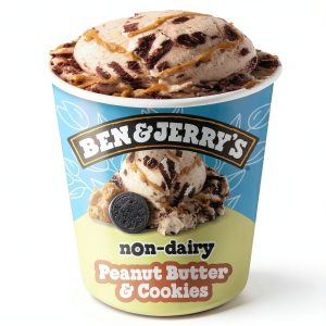 Ben Jerrys NonDairy Vegan Ice Cream Vanilla Cookie Swirl-0