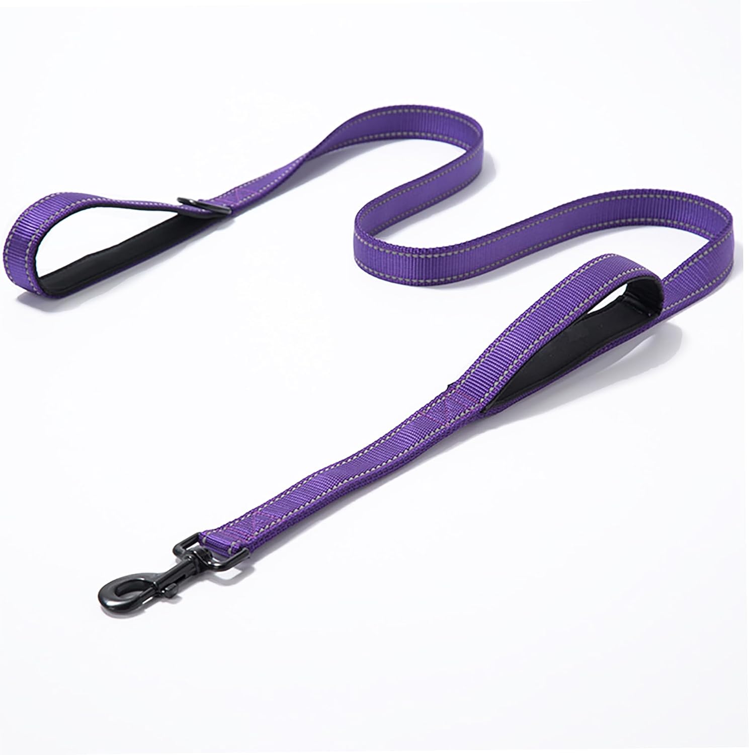 JEWOSTER dog leash in use during an evening walk