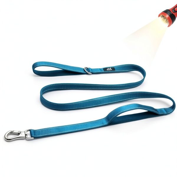 TwoEar Dog Leash Reflective Padded Handles Medium Dogs-4