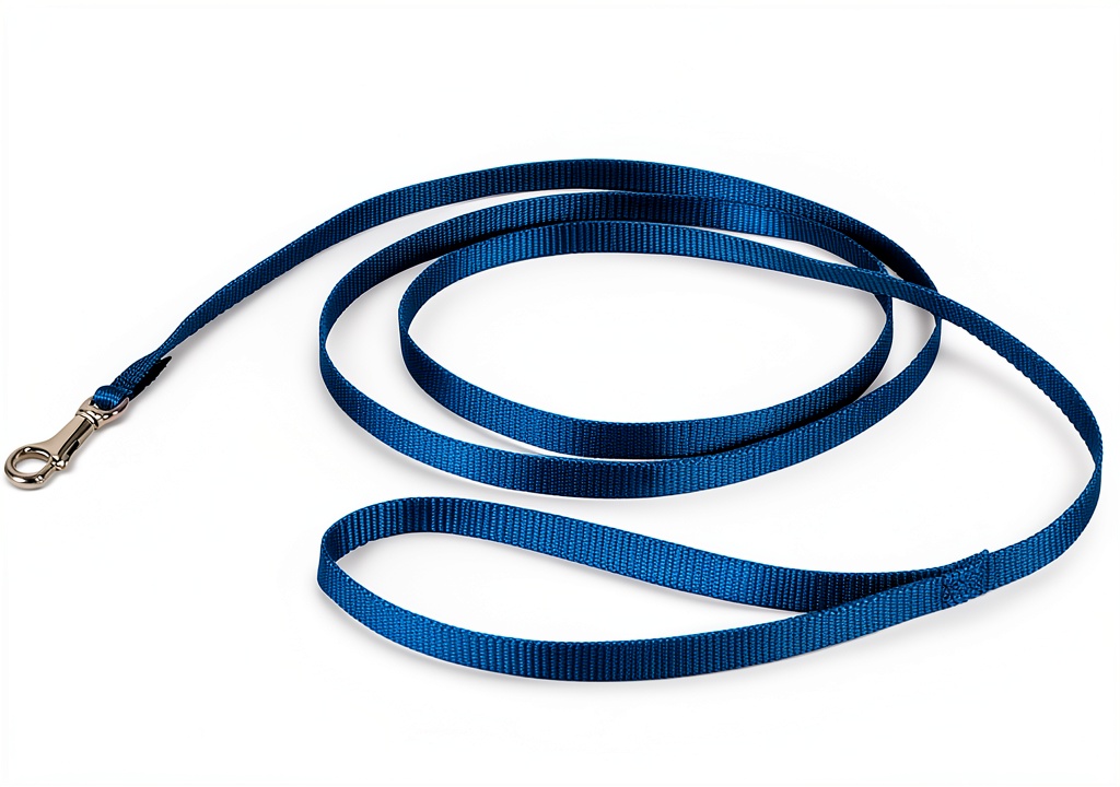 PetSafe Nylon Leash attached to a dog collar during a walk