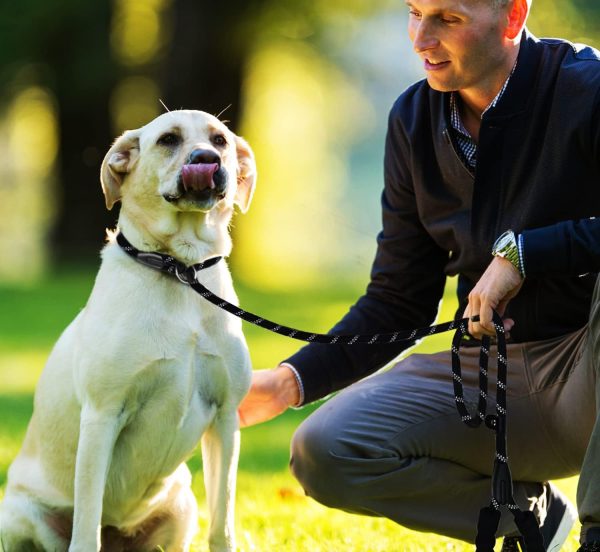 BOOEUDI Reflective Dog Leash Nylon Rope Slip Leash Collar-6