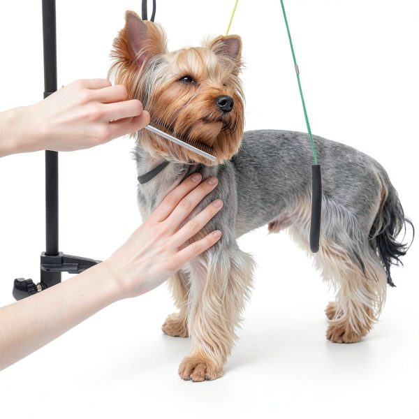 Getlstub Dog Grooming Arm Adjustable Height No Sit Haunch-8