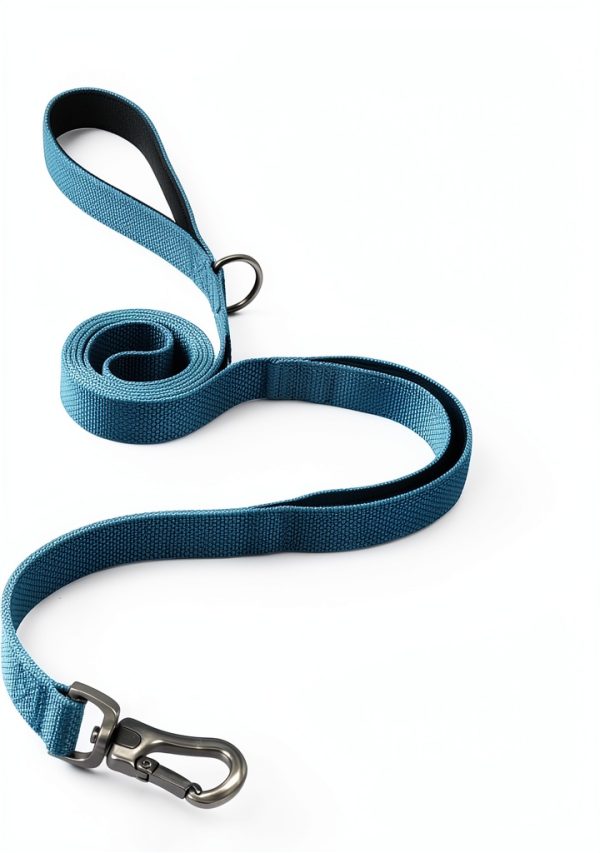 TwoEar Dog Leash Reflective Padded Handles Medium Dogs-1