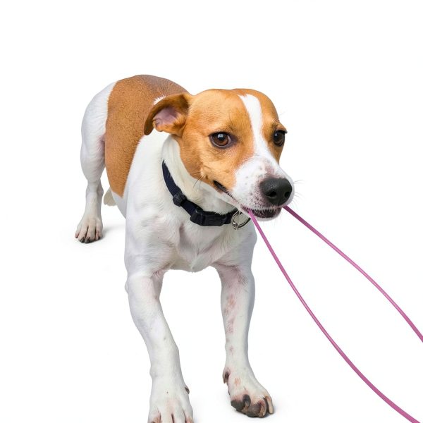 Mi Metty Dog Leash Extension Anti Bite Rope for All Dogs-3