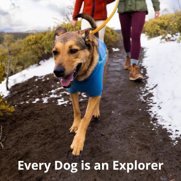 Ruffwear Hands Free Dog Leash Stretchable Adjustable Handle-8
