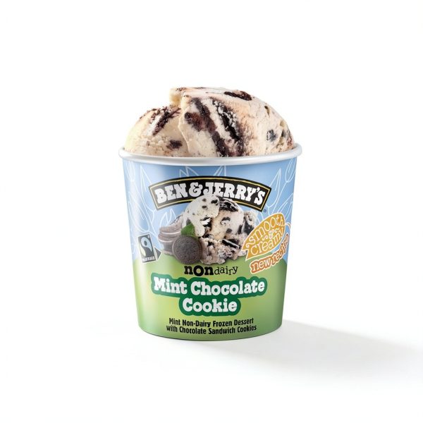 Ben Jerrys NonDairy Mint Ice Cream Vegan Dessert Pint-7