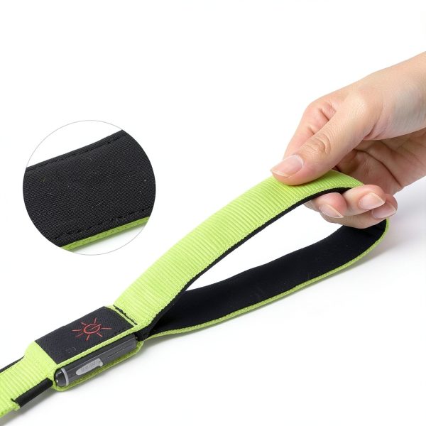 Bisen LED Dog Leash USB Rechargeable Nylon Night Walking-1