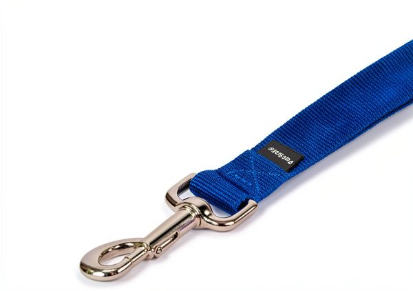 PetSafe Nylon Dog Leash Durable Control Walks Training-1