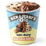 Ben Jerrys Vegan Non Dairy Frozen Dessert Chocolate Caramel-0