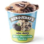 Ben Jerrys NonDairy Mint Ice Cream Vegan Dessert Pint-0