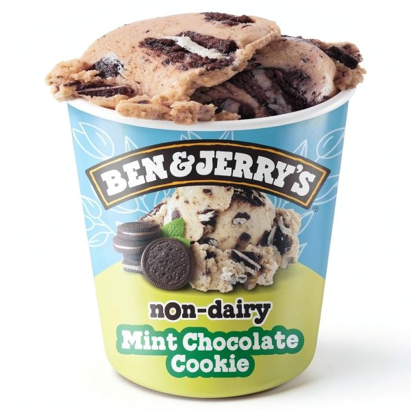 Ben Jerrys NonDairy Mint Ice Cream Vegan Dessert Pint-0