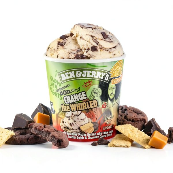 Ben Jerrys Vegan Non Dairy Ice Cream Caramel Fudge-6