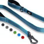 TwoEar Dog Leash Reflective Padded Handles Medium Dogs-0