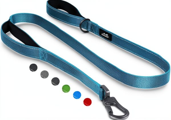 TwoEar Dog Leash Reflective Padded Handles Medium Dogs-0