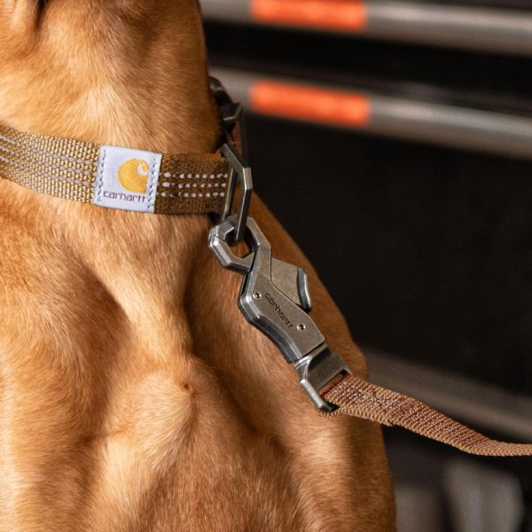 Carhartt Dog Leash Nylon Webbing Reflective Stitching Large-4